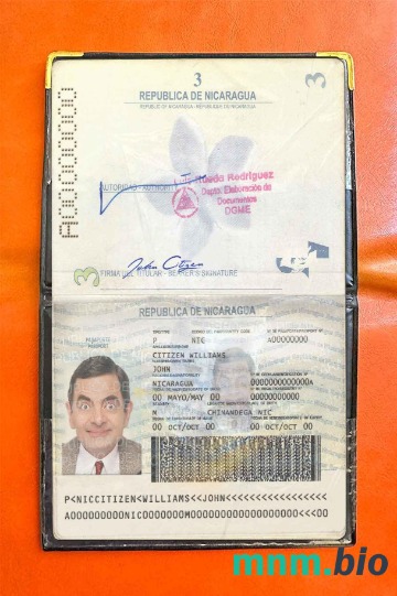 Nikaragua zdjęcie do paszportu pliki PSD, skan i fotografowany obraz